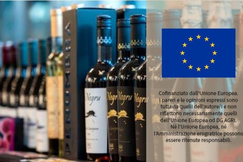 Dall '11 settembre al via il gruppo Ue di alto livello sul vino - RIPRODUZIONE RISERVATA