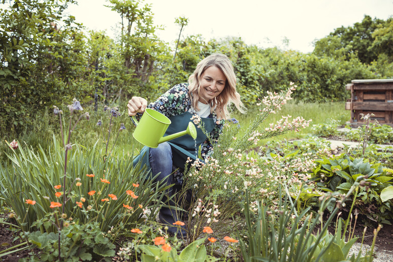 Una donna innaffia un giardino fiorito foto iStock. - RIPRODUZIONE RISERVATA