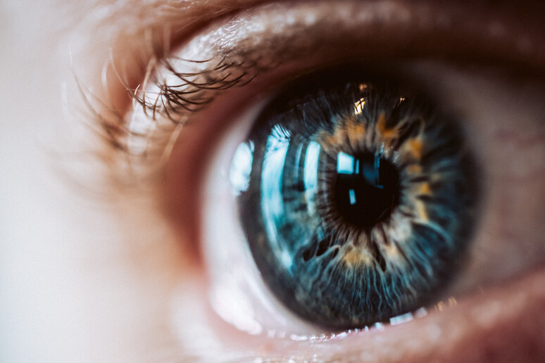 La cornea è lo strato trasparente più esterno dell 'occhio (fonte: Freepik) - RIPRODUZIONE RISERVATA