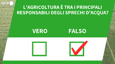 L'agricoltura e' tra i principali responsabili degli sprechi d'acqua?